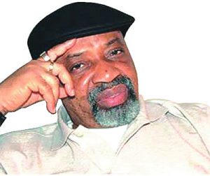 Senator Chris Ngige 360x252 1