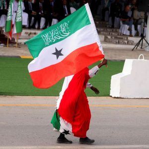 Somaliland flag