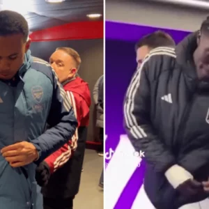 comp 1767188161 1767190366 768x403 1