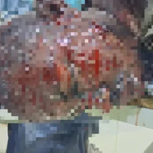 df5e584b f3ba 43cb 84ca baa05cf717d0 768x576.jpeg