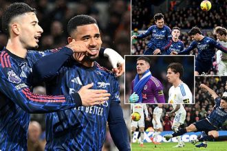 105995731 0 image a 31 1769880479960