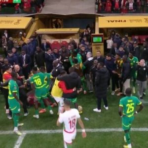 20260118 224002 e1768813940808