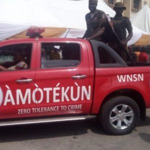 Amotekun e1707763870614