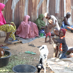 Female petty traders in the colony Credit Gloria Attah