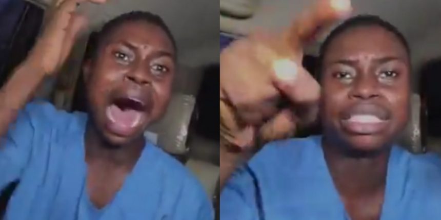 GridArt 20260110 074526432 1920x960 1