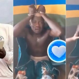 GridArt 20260111 175158975 768x384 1