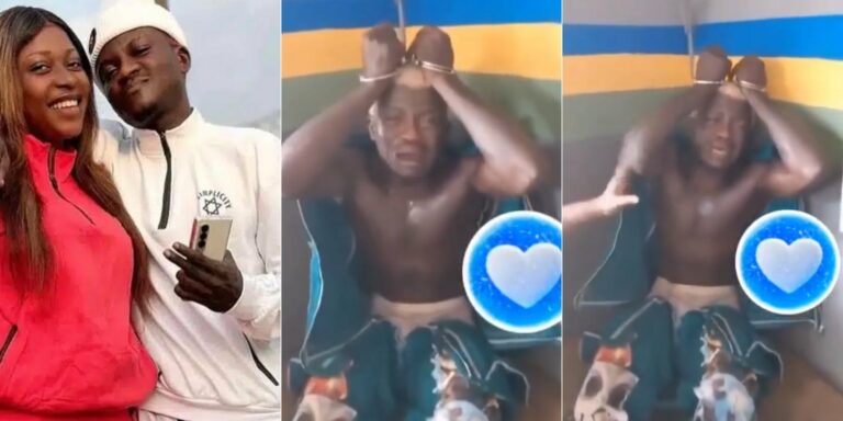 GridArt 20260111 175158975 768x384 1