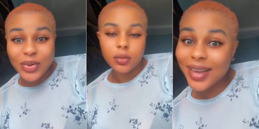 GridArt 20260122 073704545