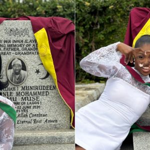 GridArt 20260124 064610551