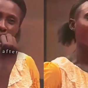 GridArt 20260124 114550721 1920x960 1