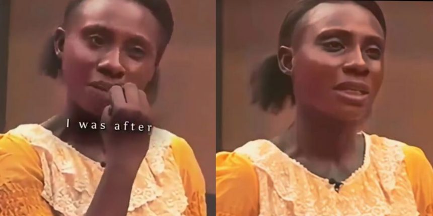 GridArt 20260124 114550721 1920x960 1