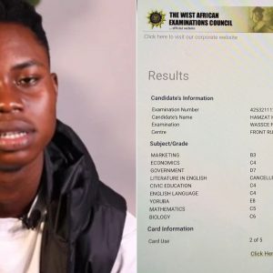 GridArt 20260124 175735506