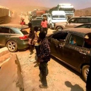 IMG 8489 e1769428099566