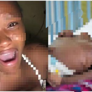 InCollage 20260116 194445555 scaled 1