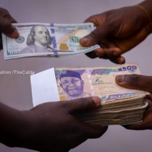 Naira and Dollars 22 e1712823073285