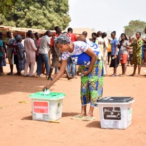 Nigerians Votes 2019 Presidential Election11