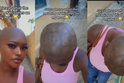 PhotoGrid Plus 1767425668125