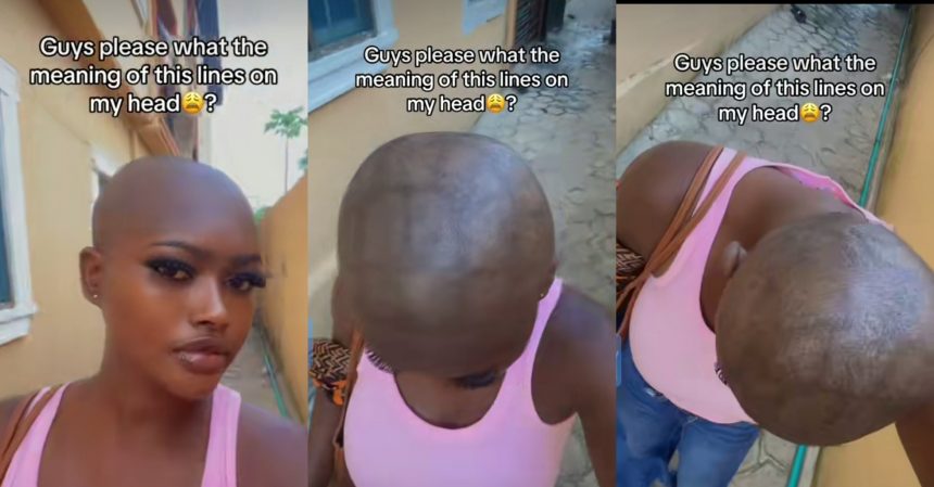 PhotoGrid Plus 1767425668125