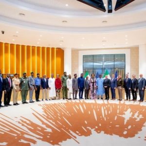 US Nigeria working group 1