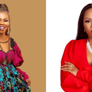 0391c5f5 a533 4743 a664 31beff0f7bdb