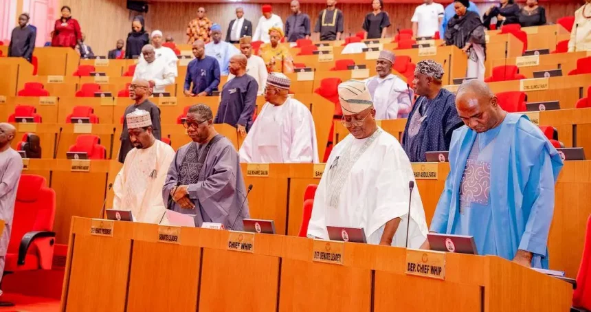 629372449 1486187869529736 624792022191759969 n