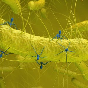 BacteriophageGraphic