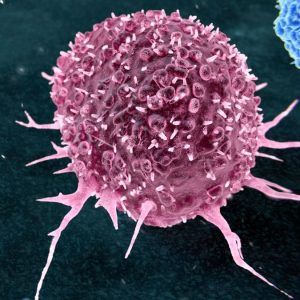 CancerCell