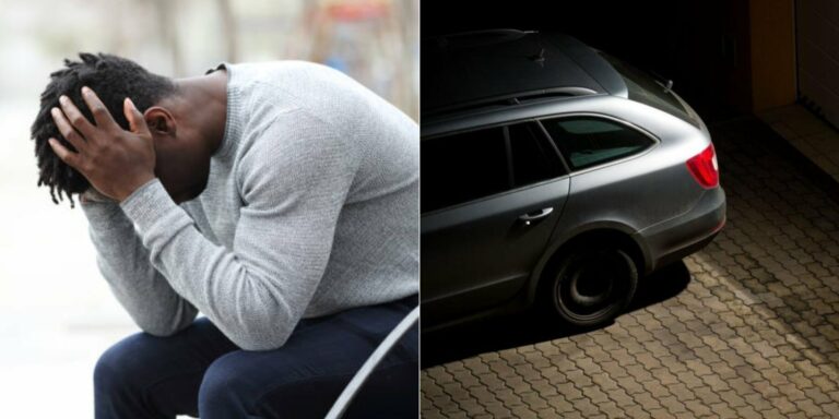 GridArt 20260207 120247629 768x384 1