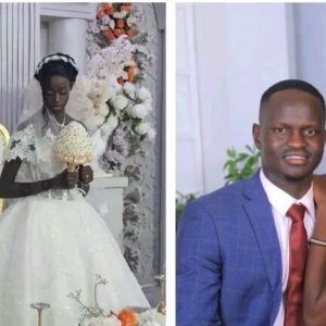 GridArt 20260207 125753304 768x432 1