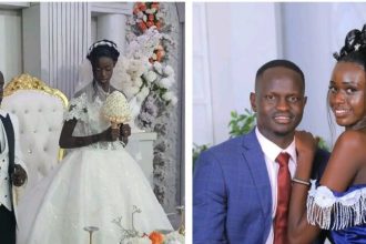 GridArt 20260207 125753304 768x432 1