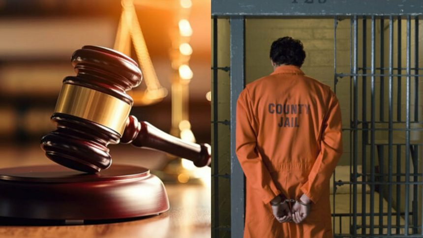 GridArt 20260207 144219110 scaled 1