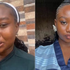 GridArt 20260208 151710204