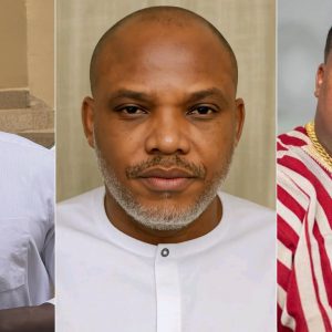 GridArt 20260212 074436038