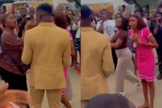 GridArt 20260214 105437128 scaled 1