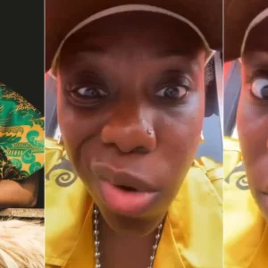 GridArt 20260220 101905983.jpg