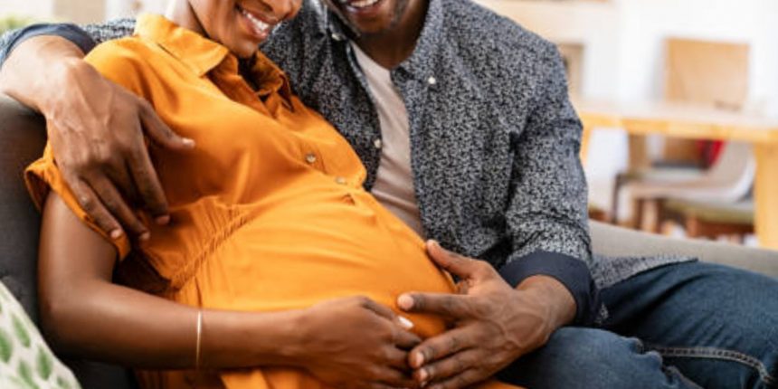 GridArt 20260220 163116368