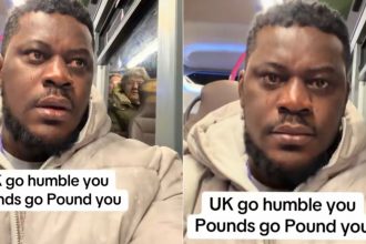 GridArt 20260222 135346797