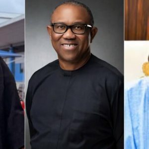 GridArt 20260223 115123071 768x384 1