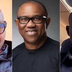 GridArt 20260224 082934529