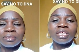 GridArt 20260224 085821151