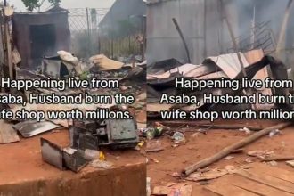 GridArt 20260225 062417567 1 scaled 1