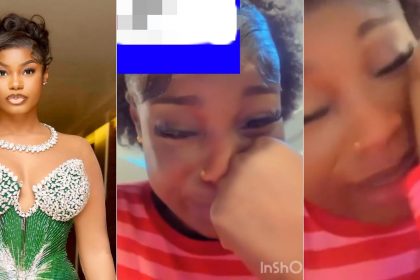 GridArt 20260227 075539043