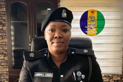 IMG 2641 768x606.jpeg