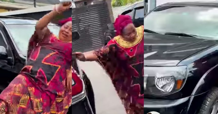 PhotoGrid Plus 1771004215071