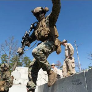 Screenshot 13 2 2026 18183 https thenicheng.com