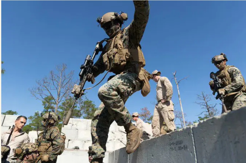 Screenshot 13 2 2026 18183 https thenicheng.com