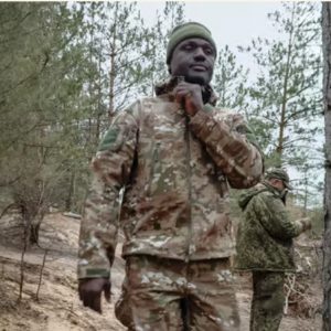 Screenshot 15 2 2026 62522 https punchng.com