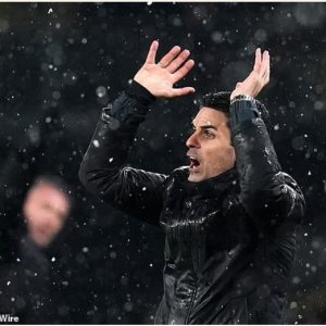 Screenshot 19 2 2026 8622 https www.dailymail.co .uk