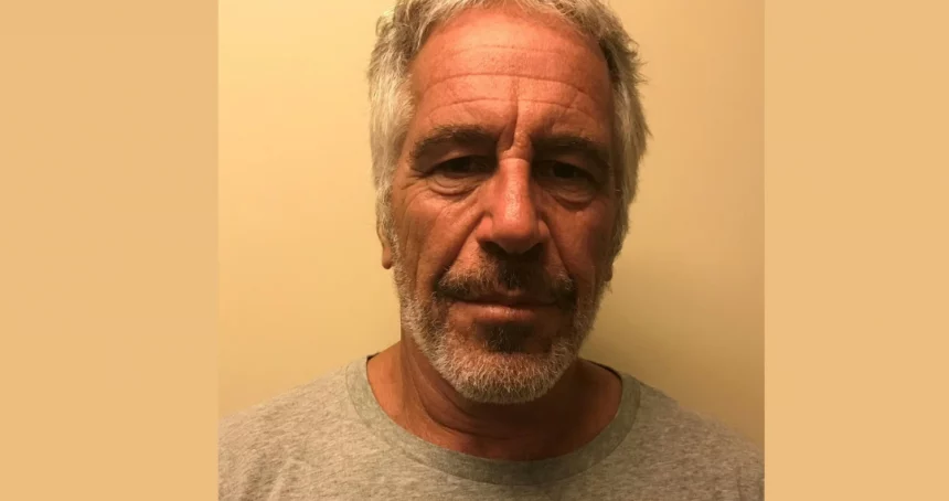 Untitled design 16 e1770216651633