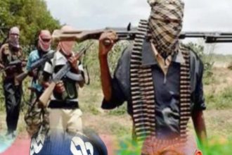 WhatsApp Image 2026 02 09 at 3.56.29 PM